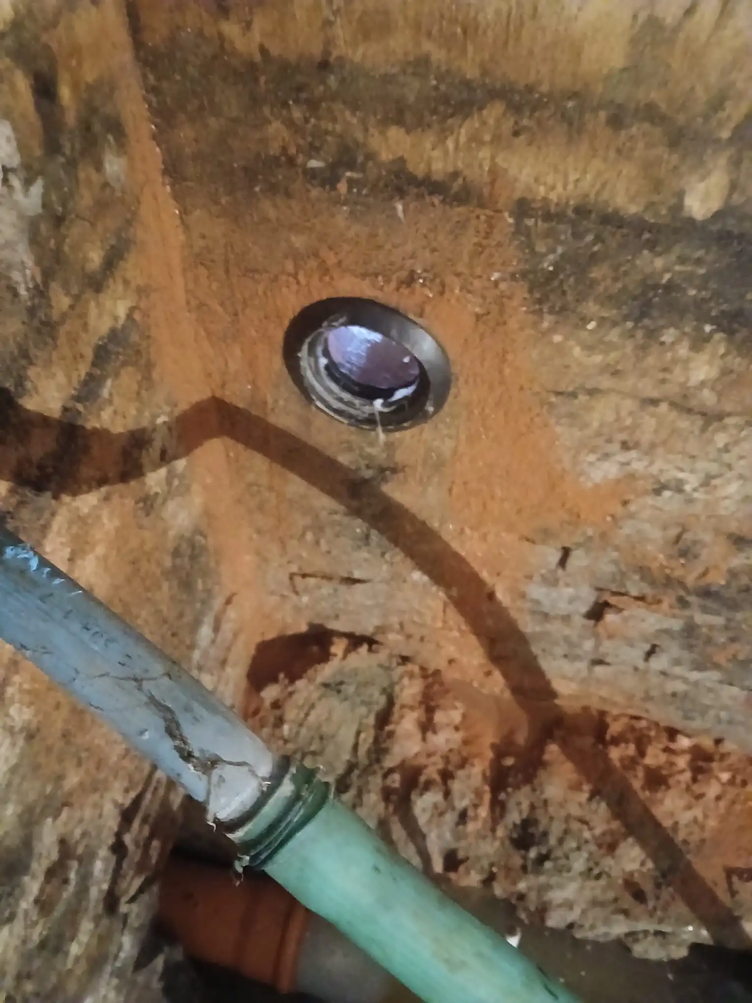 Listopadowa realizacja